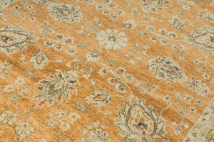 Peshawar Transitional woollen Hand Knotted Carpet