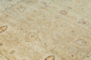 Peshawar Transitional woollen Hand Knotted Carpet