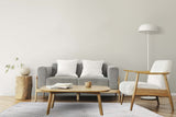 Boho Style Shaggy Rugs Loop & Shags