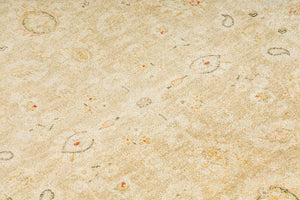 Peshawar Transitional woollen Hand Knotted Carpet