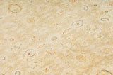 Peshawar Transitional woollen Hand Knotted Carpet