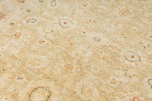 Peshawar Transitional woollen Hand Knotted Carpet